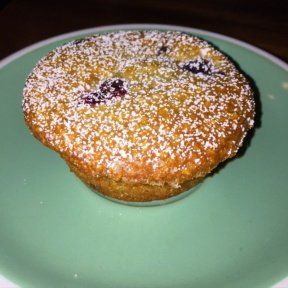 Gluten-free blueberry muffin from Little Collins